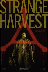 怪奇收割封面图