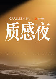 Carllee质感之夜封面图
