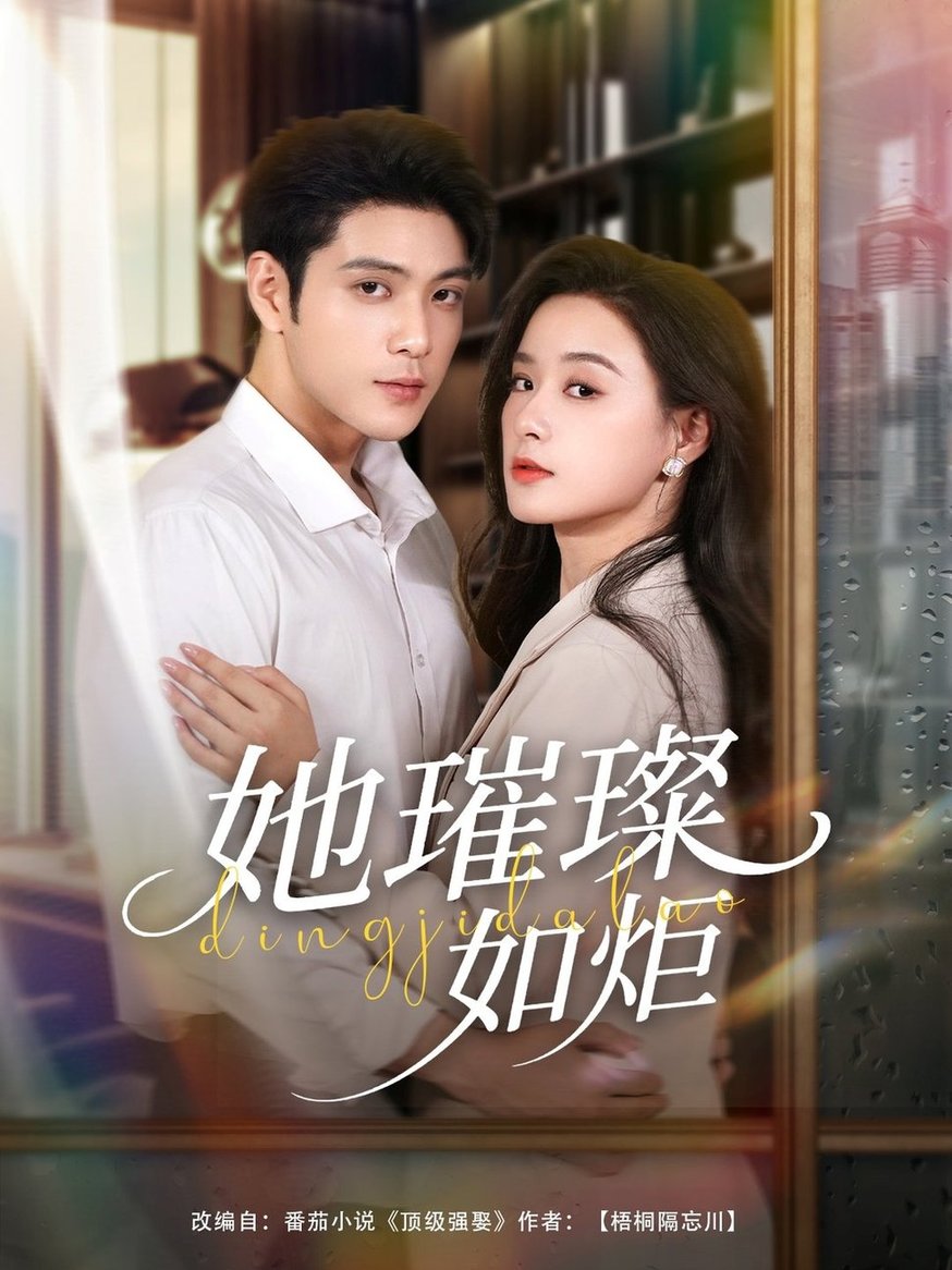 她璀璨如炬封面图