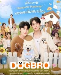 恋爱汪汪汪封面图