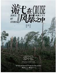 游弋在风暴之中封面图