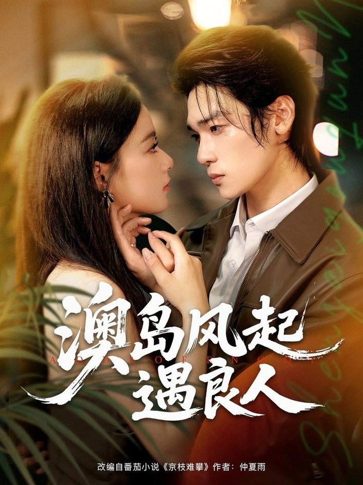 澳岛风起遇良人封面图
