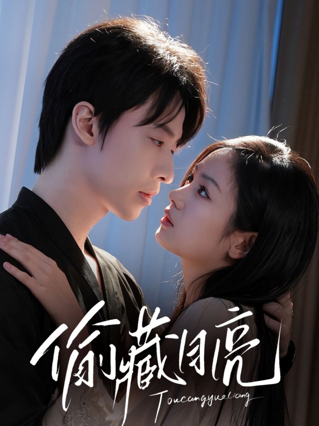 偷藏月亮封面图