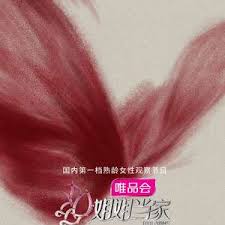 姐姐当家封面图