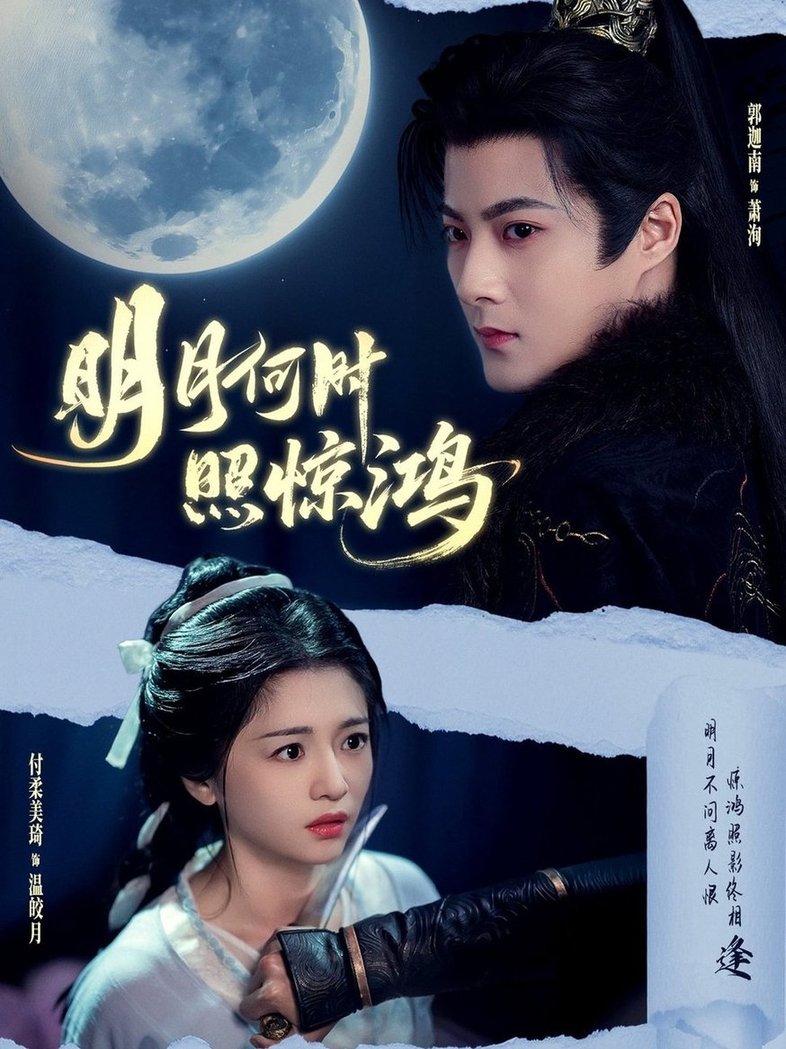 明月何时照惊鸿封面图