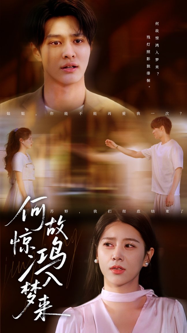 何故惊鸿入梦来封面图