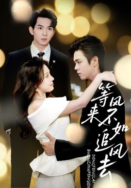 等风来不如追风去封面图