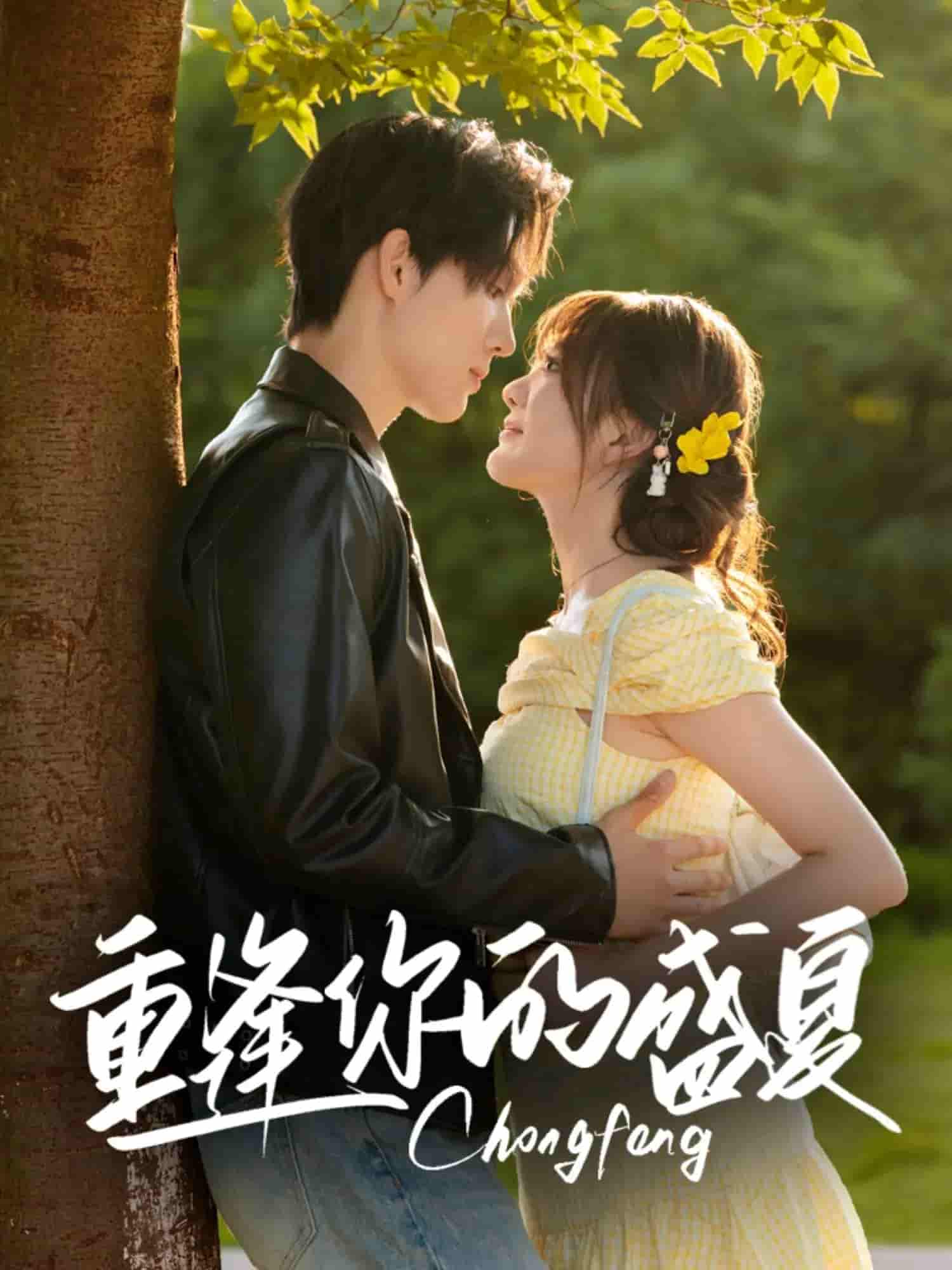 重逢你的盛夏封面图