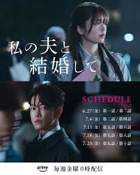 请和我的老公结婚 日版封面图