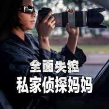 全面失控：私家侦探妈妈封面图