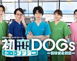 初恋UNDER DOGs～败犬与初恋～封面图