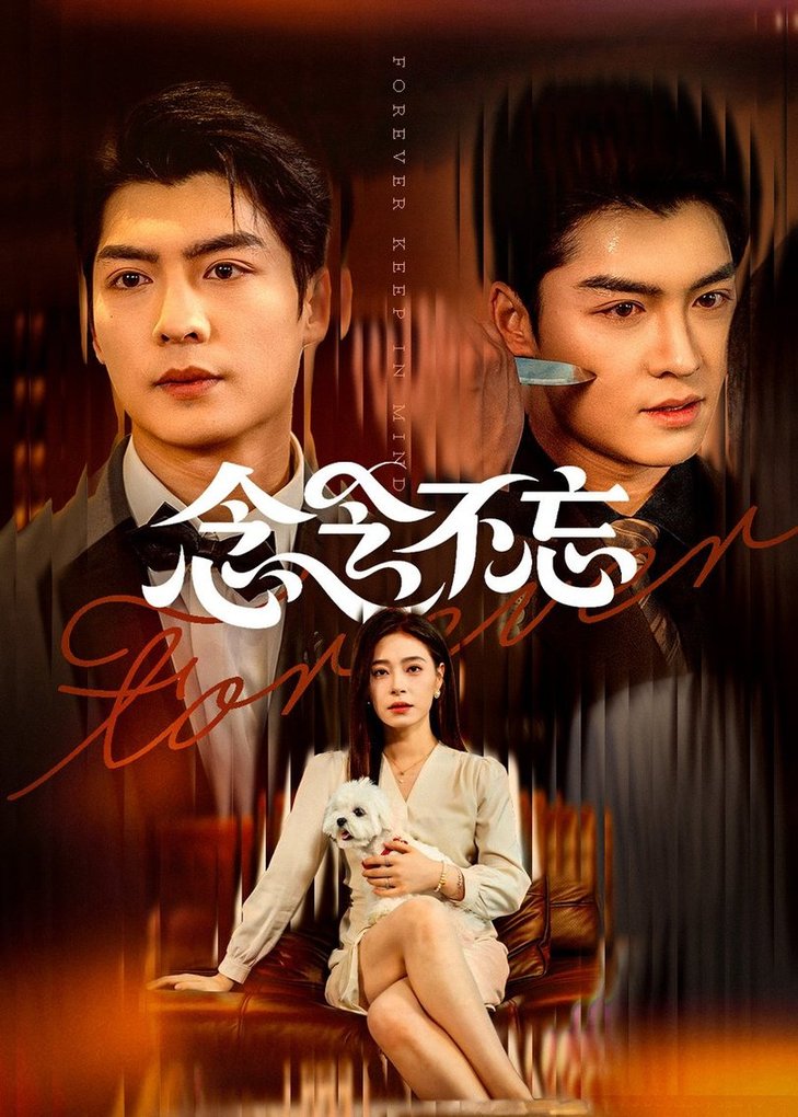 念念不忘封面图