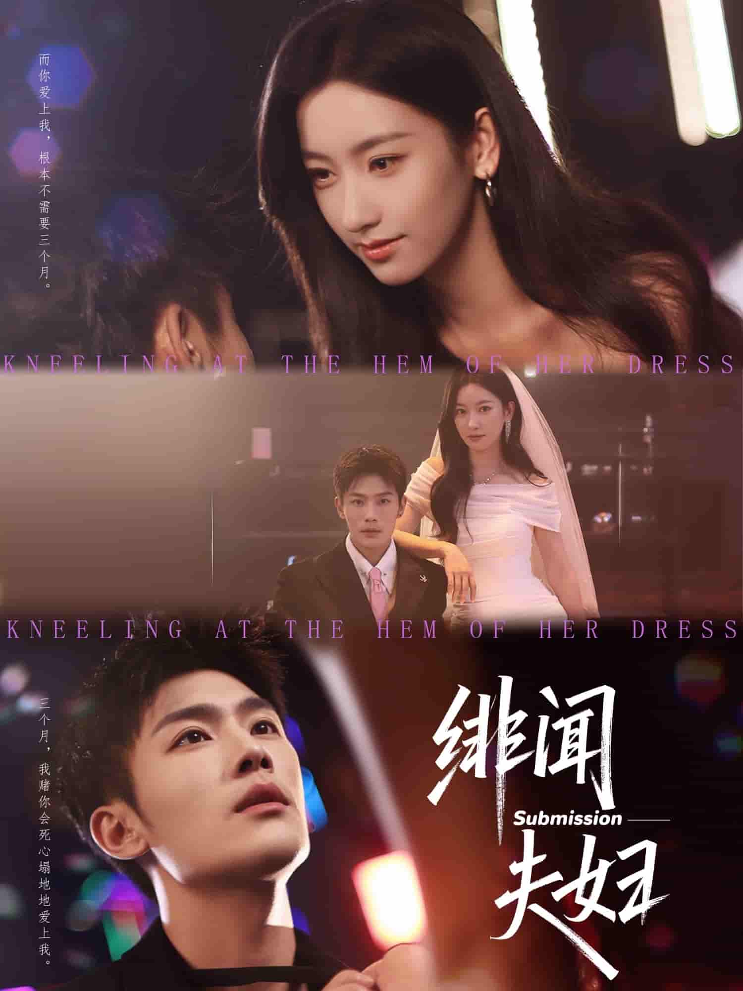 风起烬铃封面图