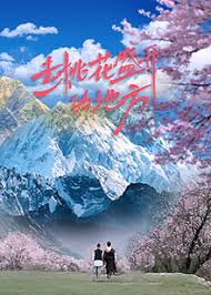 去桃花盛开的地方封面图