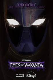 瓦坎达之眼封面图