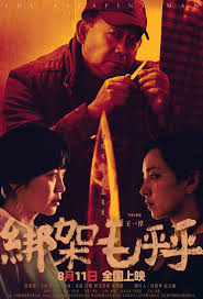 绑架毛乎乎封面图