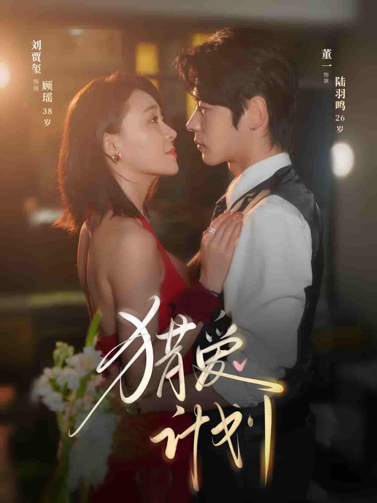 猎爱计划封面图