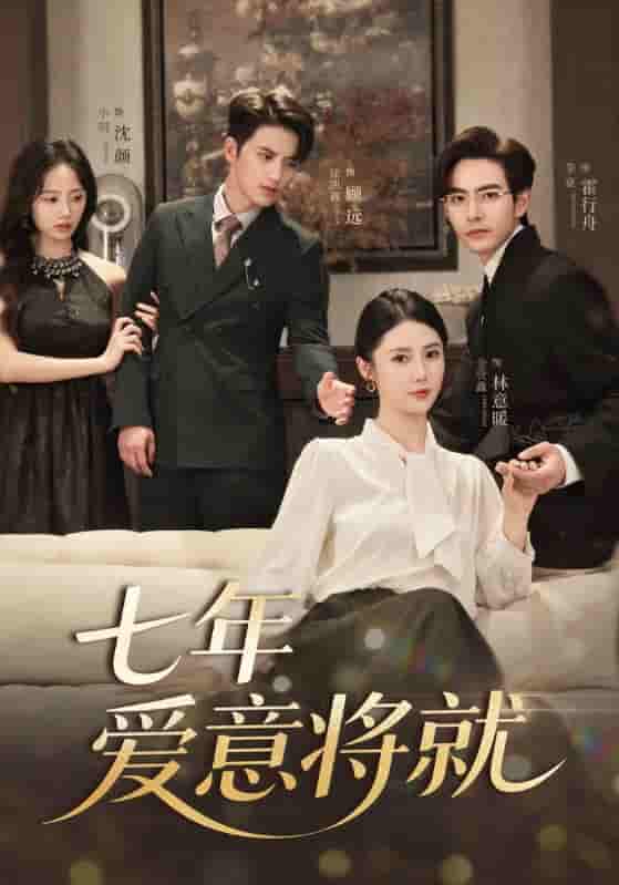 七年爱意将就封面图