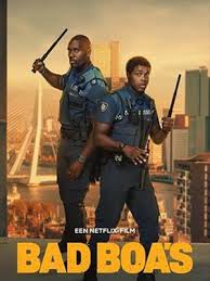 凹凸双雄封面图