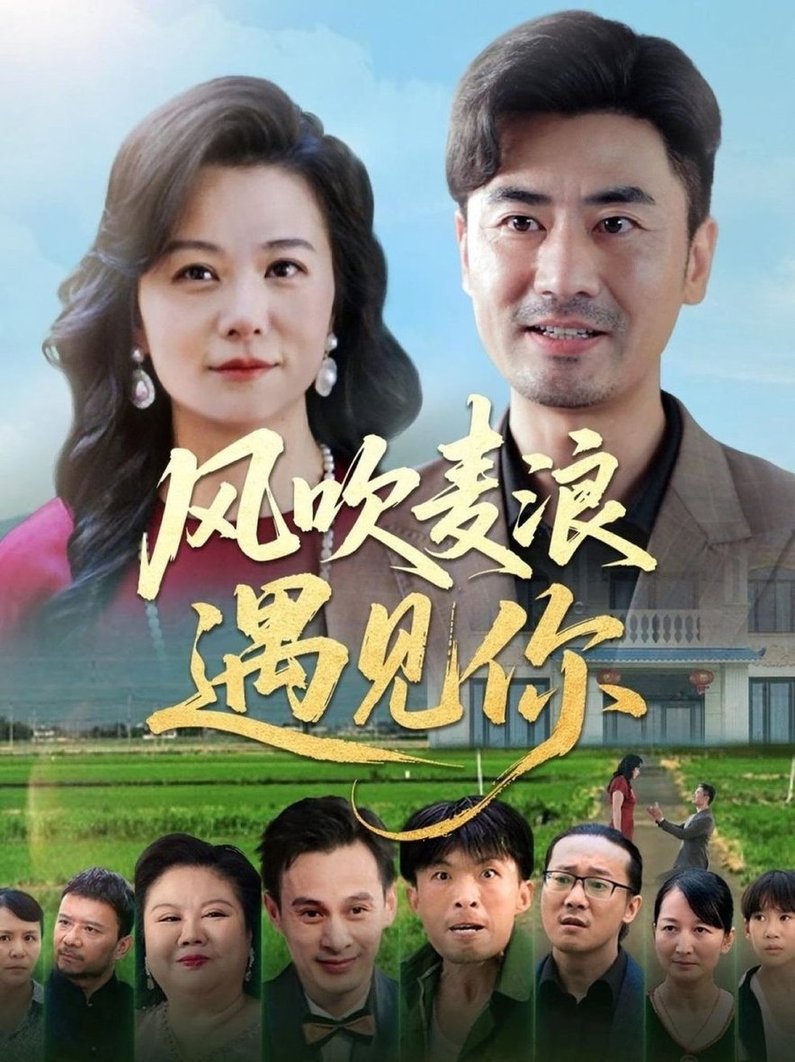 风吹麦浪遇见你封面图