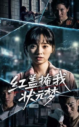 红盖掩我状元梦封面图