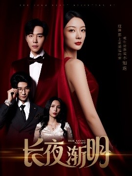 长夜渐明封面图