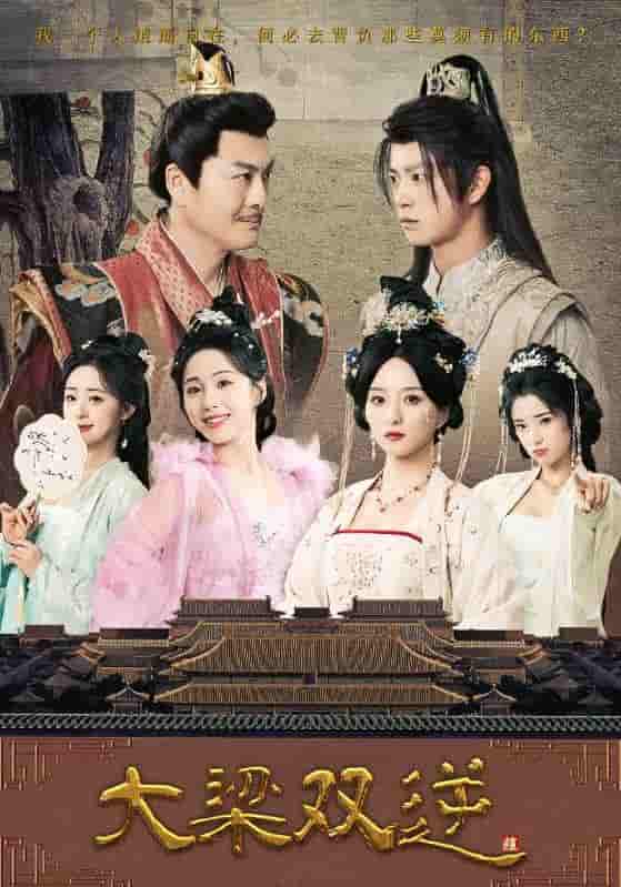 大梁双逆封面图