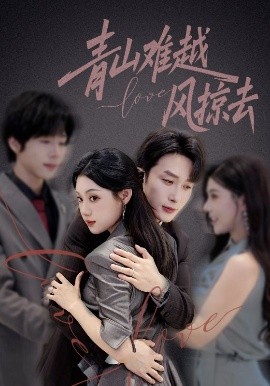 青山难越风掠去封面图