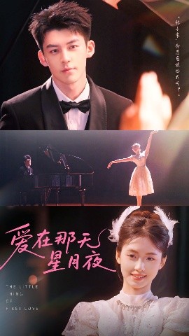 爱在那天星月夜封面图