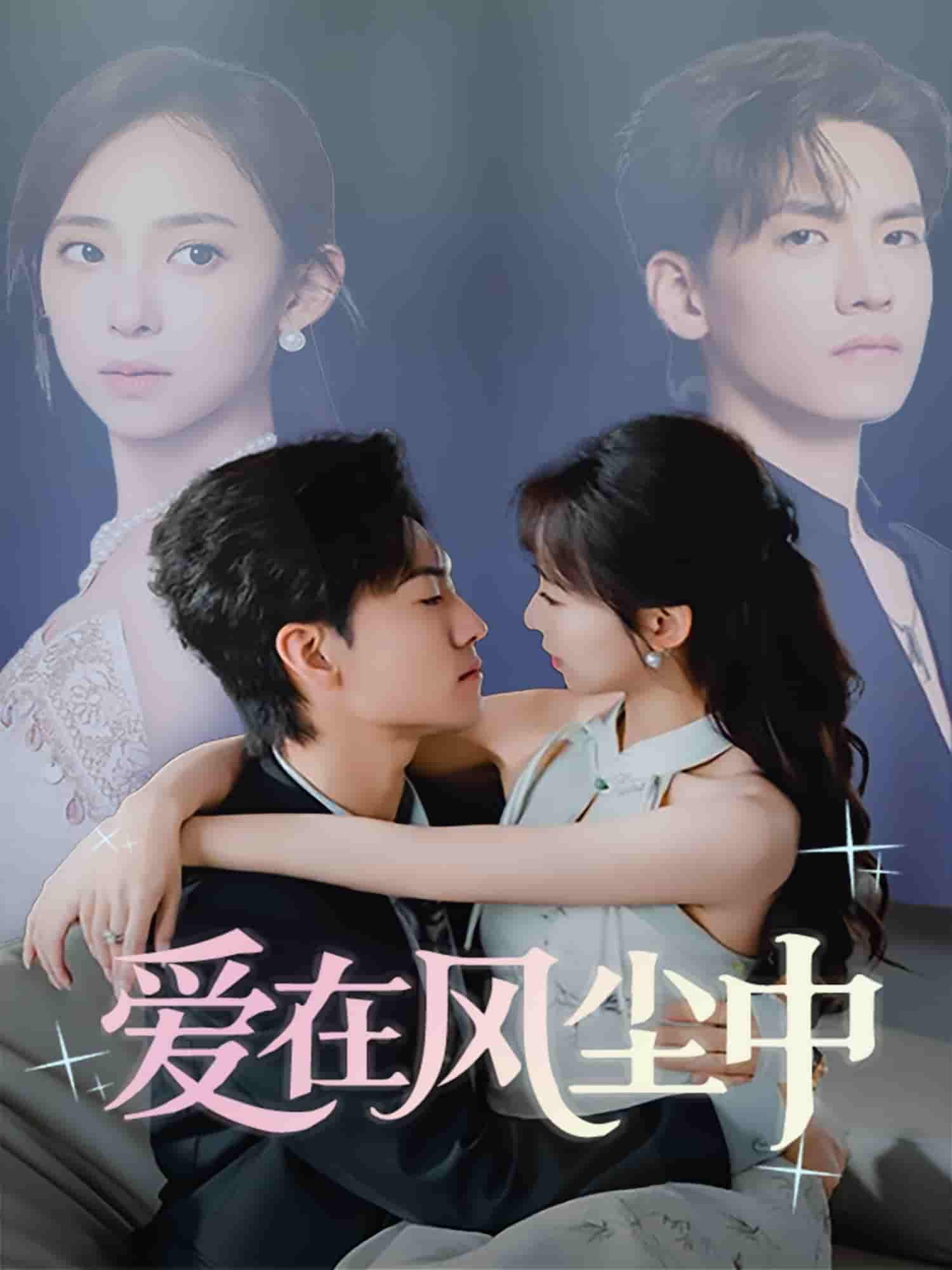 爱在风尘中封面图