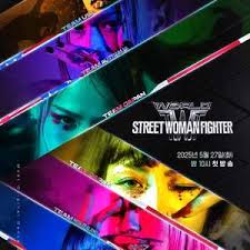 世界街头女斗士3封面图