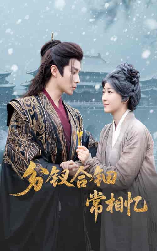 分钗合钿常相忆封面图