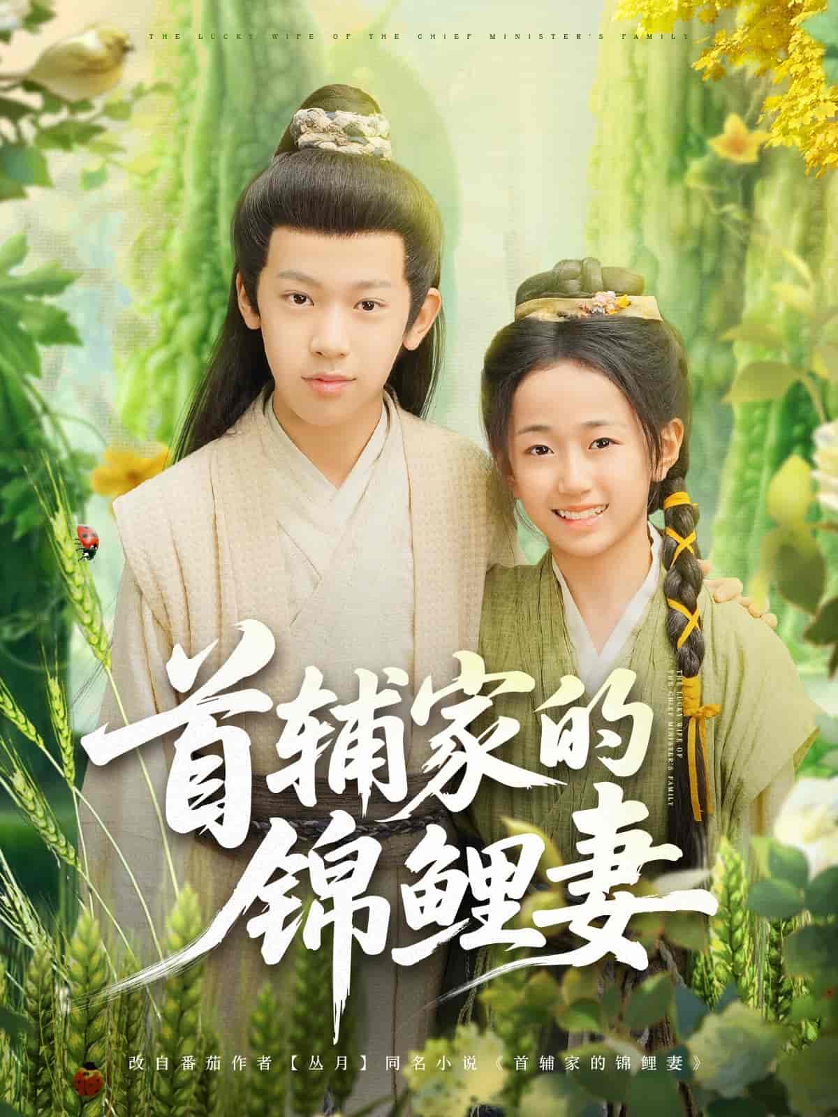 首辅家的锦鲤妻封面图