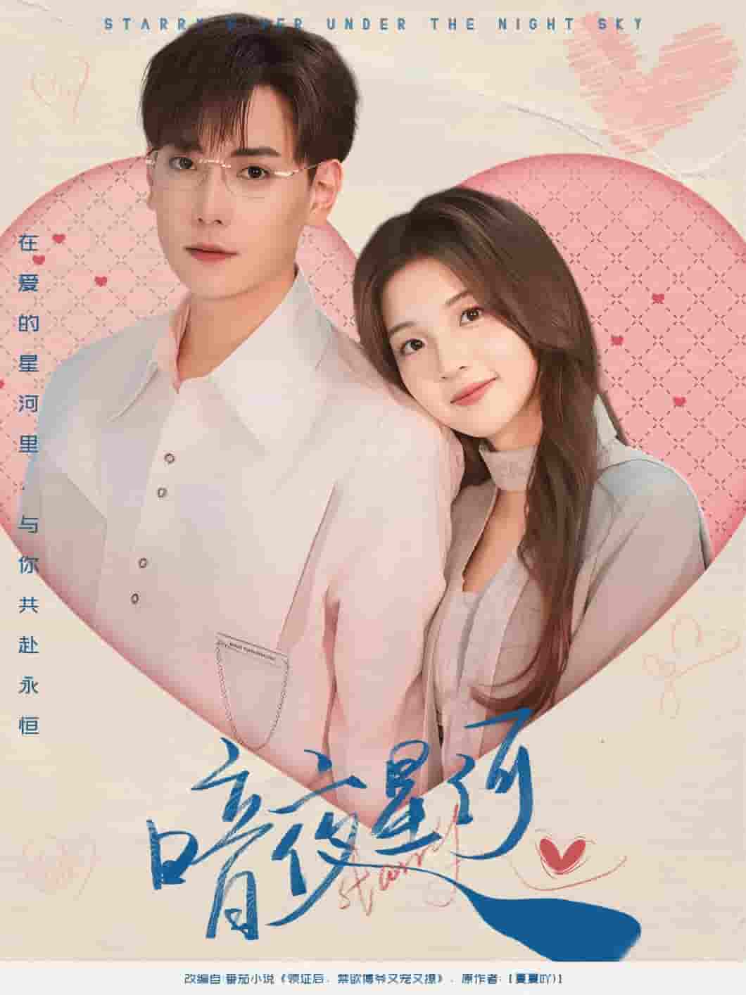 暗夜星河封面图