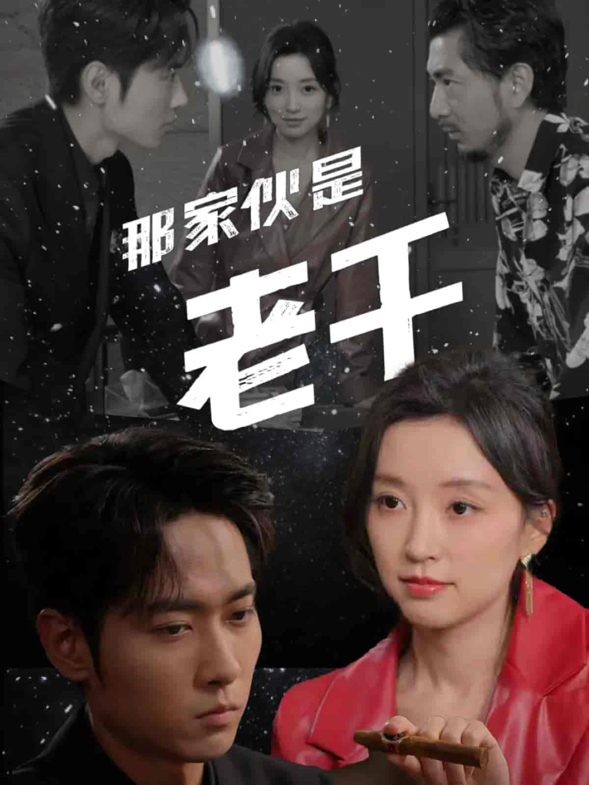 你独自儿孙满堂封面图