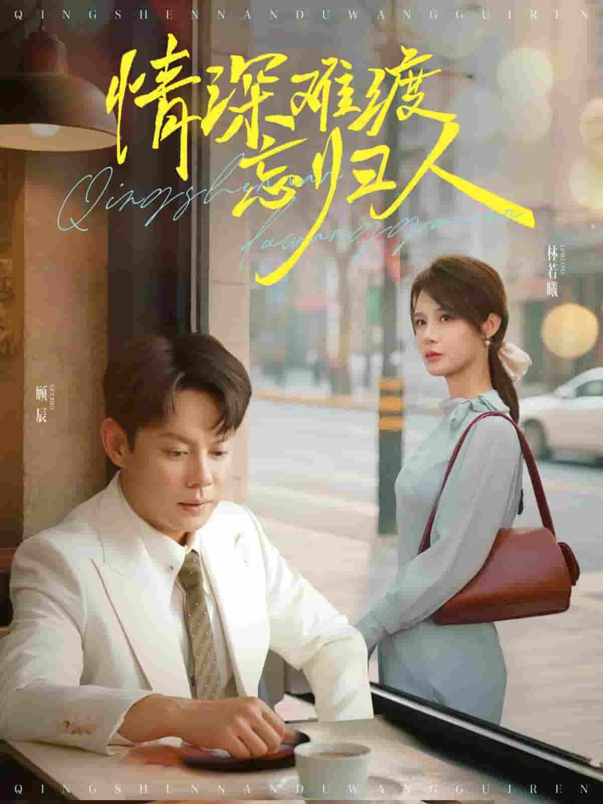 情深难渡忘归人封面图