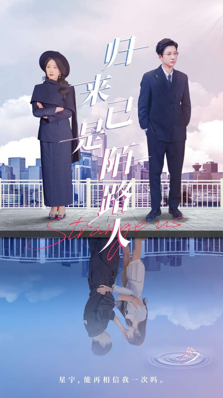 归来已是陌路人封面图