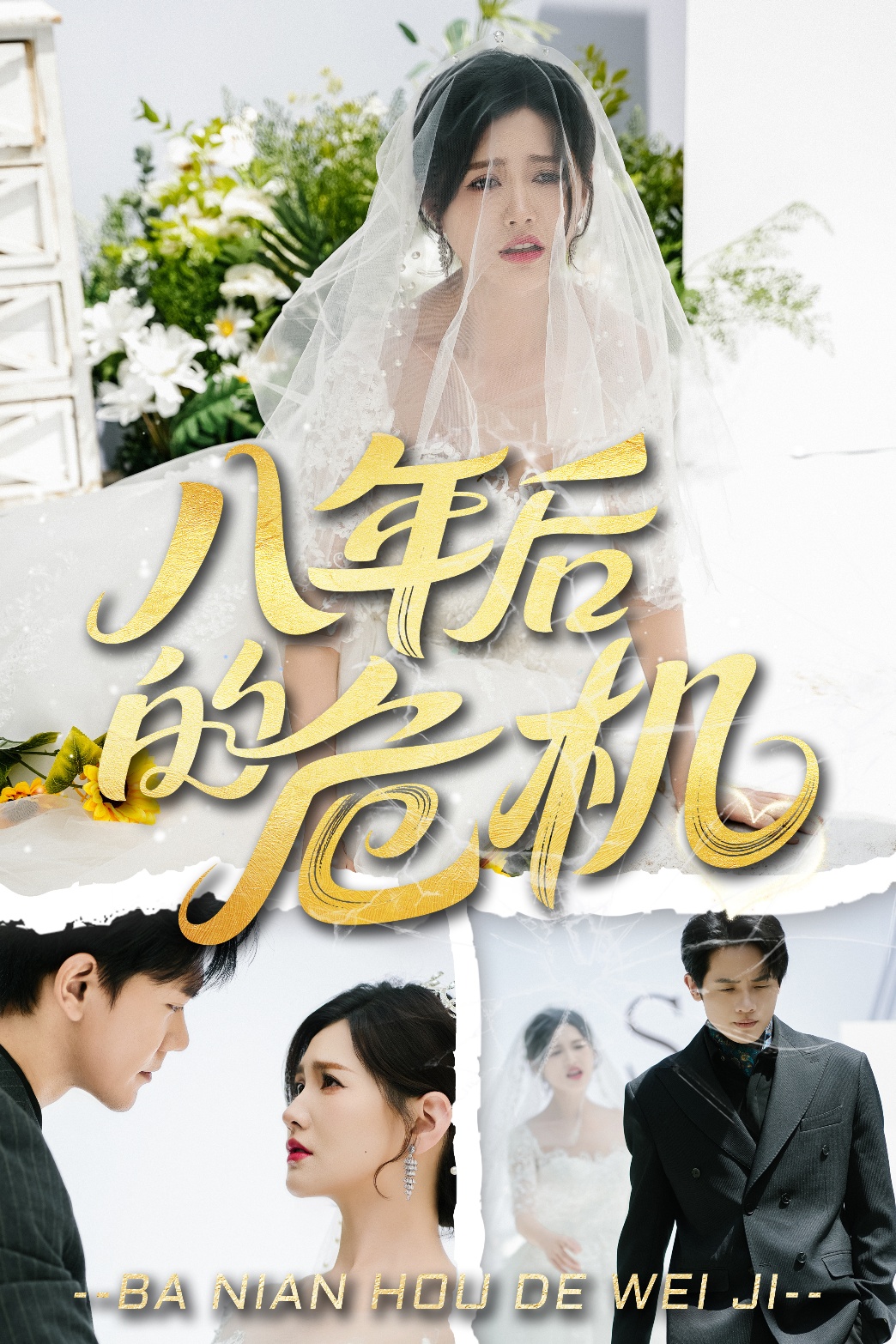 八年后的危机封面图