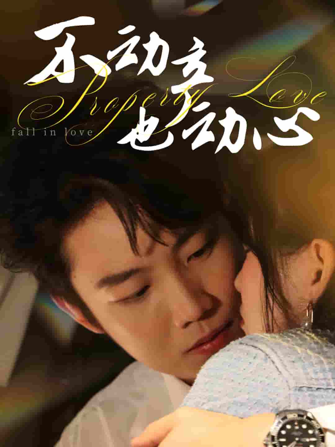 不动产也动心封面图