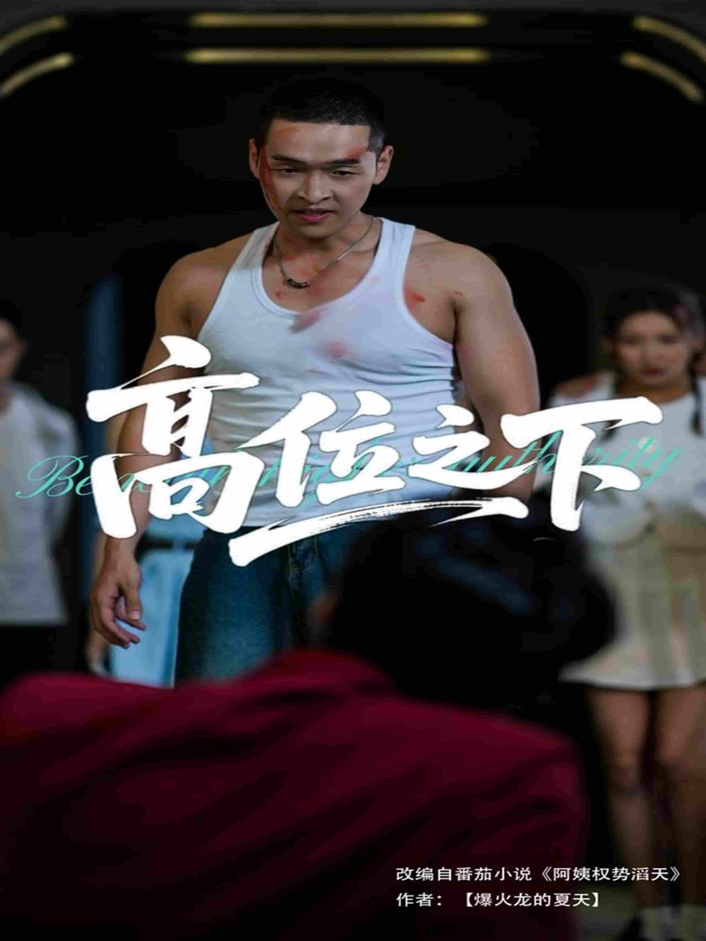 高位之下封面图