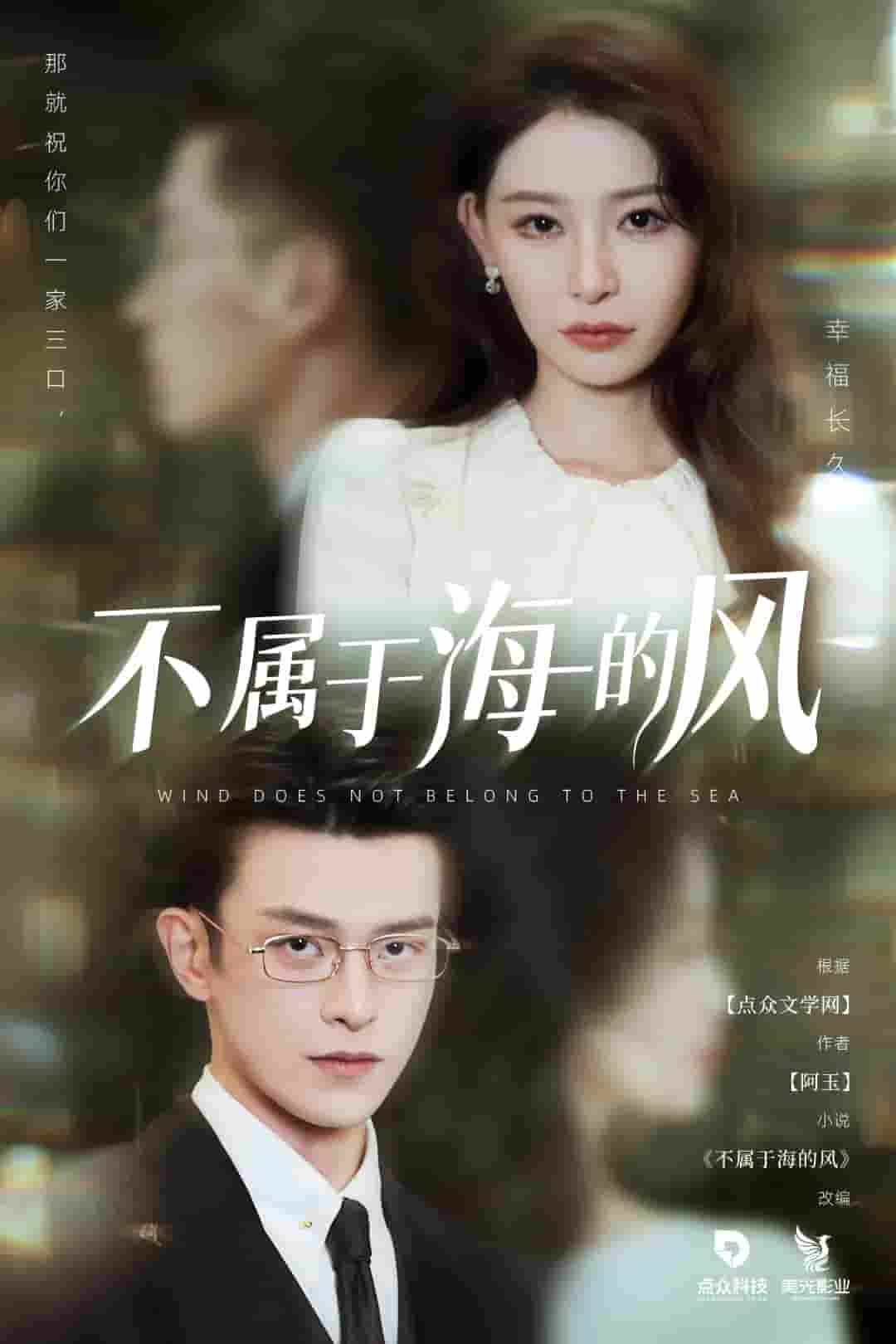 不属于海的风封面图