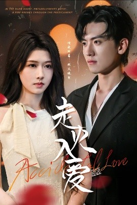 走火入爱封面图