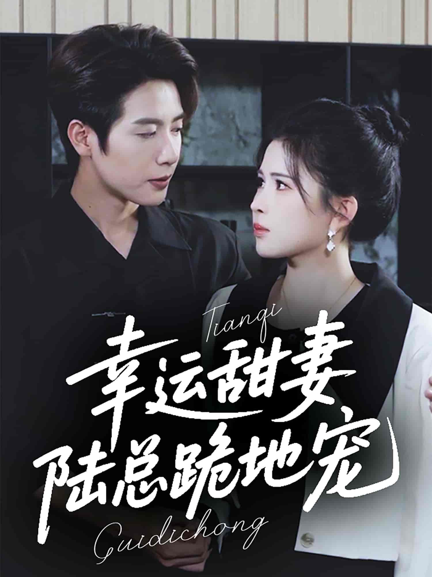 幸运甜妻，陆总跪地宠封面图