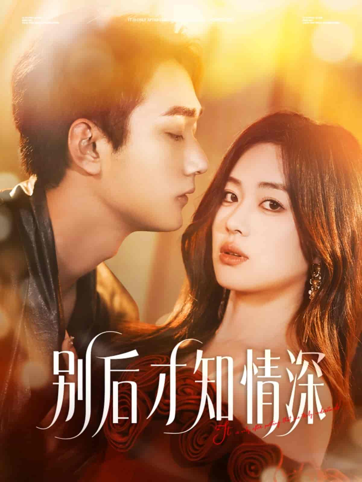 别后才知情深封面图
