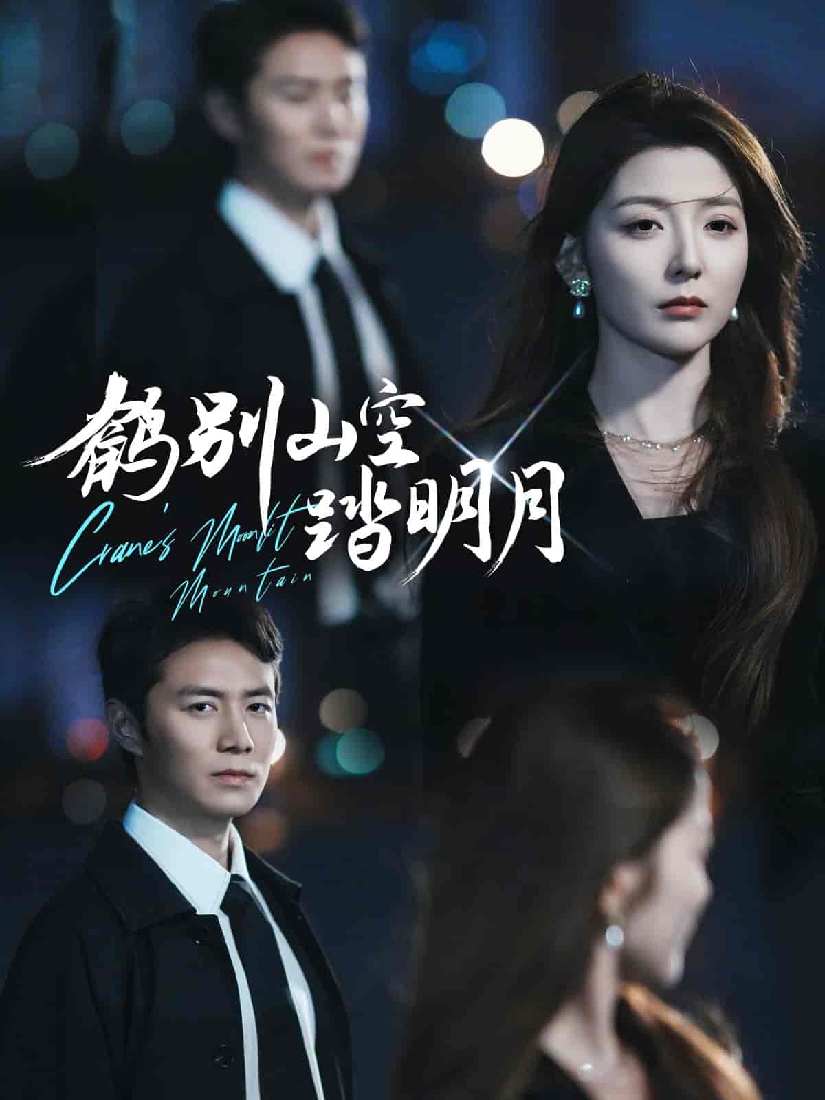 鹤别山空踏明月封面图