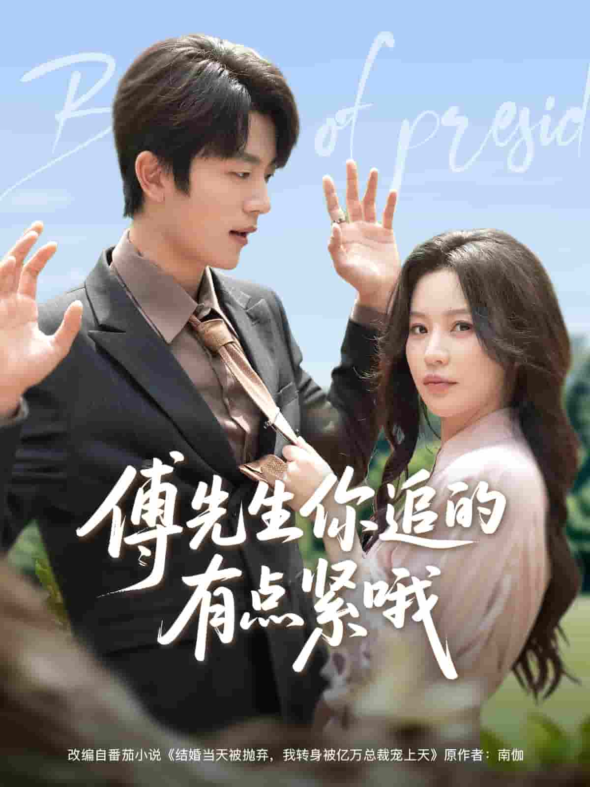 傅先生你追的有点紧哦封面图