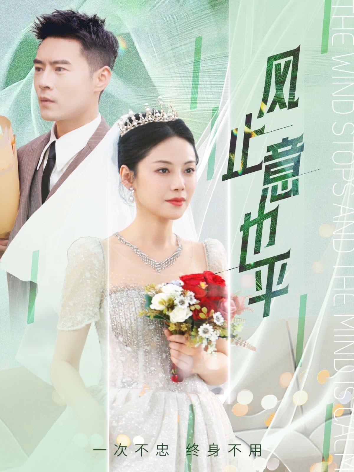 风止意也平封面图