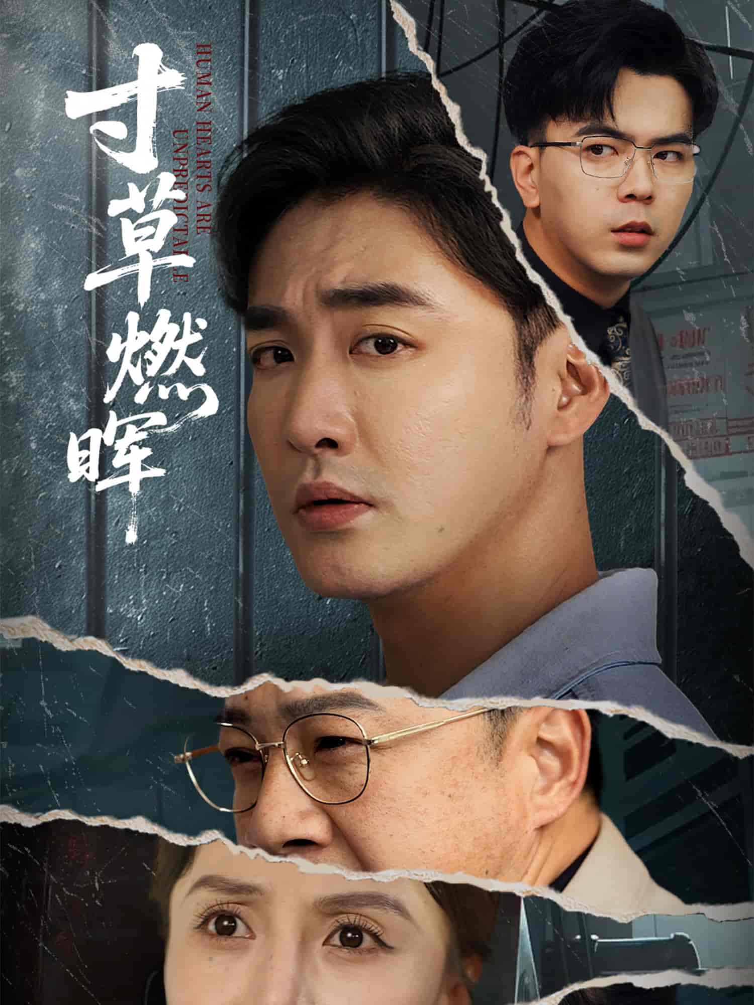 寸草燃晖封面图