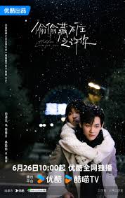 偷偷藏不住之许你封面图