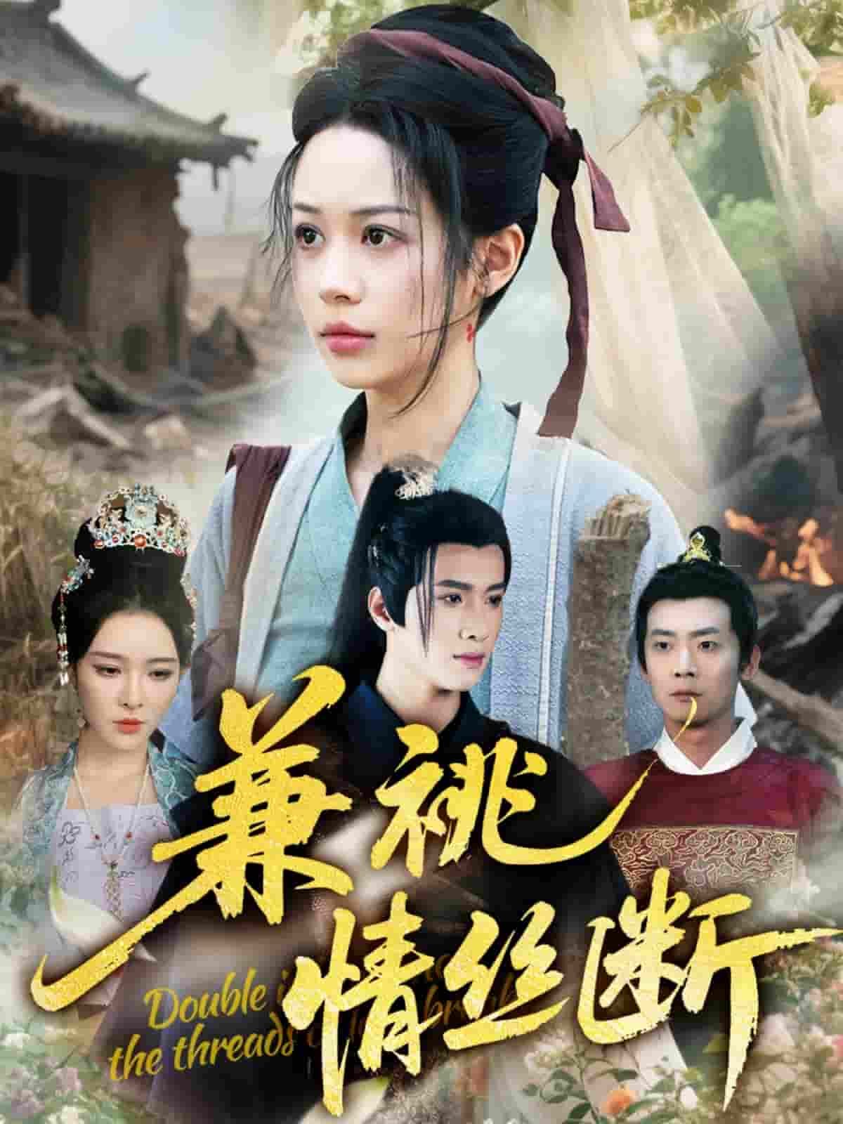 兼祧情丝断封面图